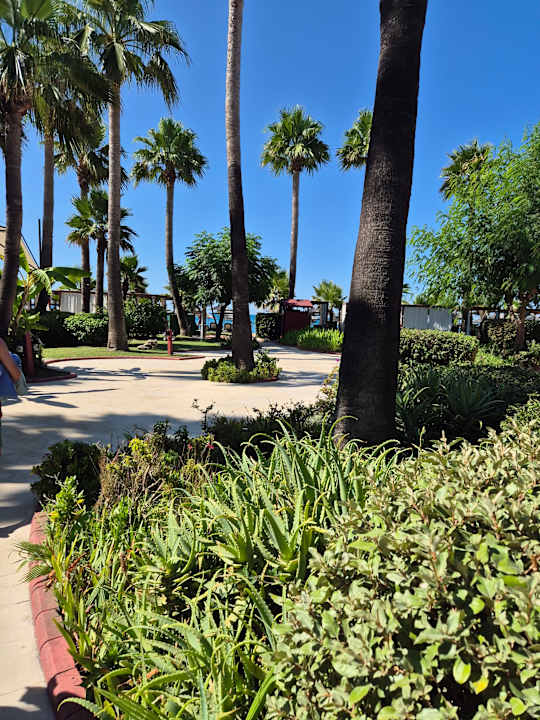 Strand Alan Xafira Deluxe Resort & Spa