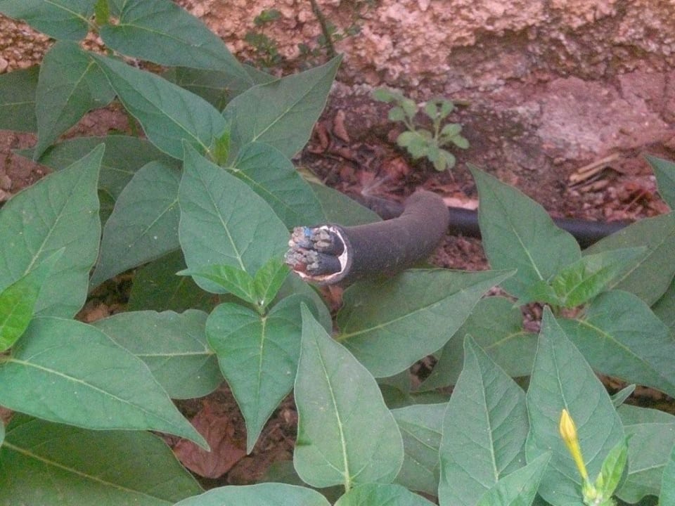 Freiligendes Starkstromkabel R2 Lago Playa Park