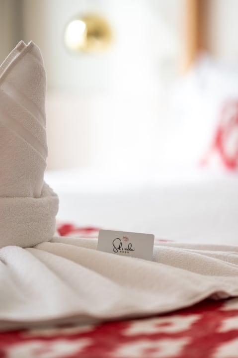 Zimmer Sol i Vida Hotel