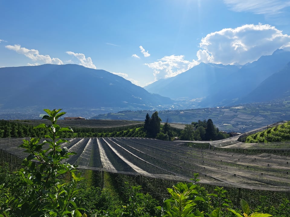 Ausblick Garni Hotel Katzenthalerhof