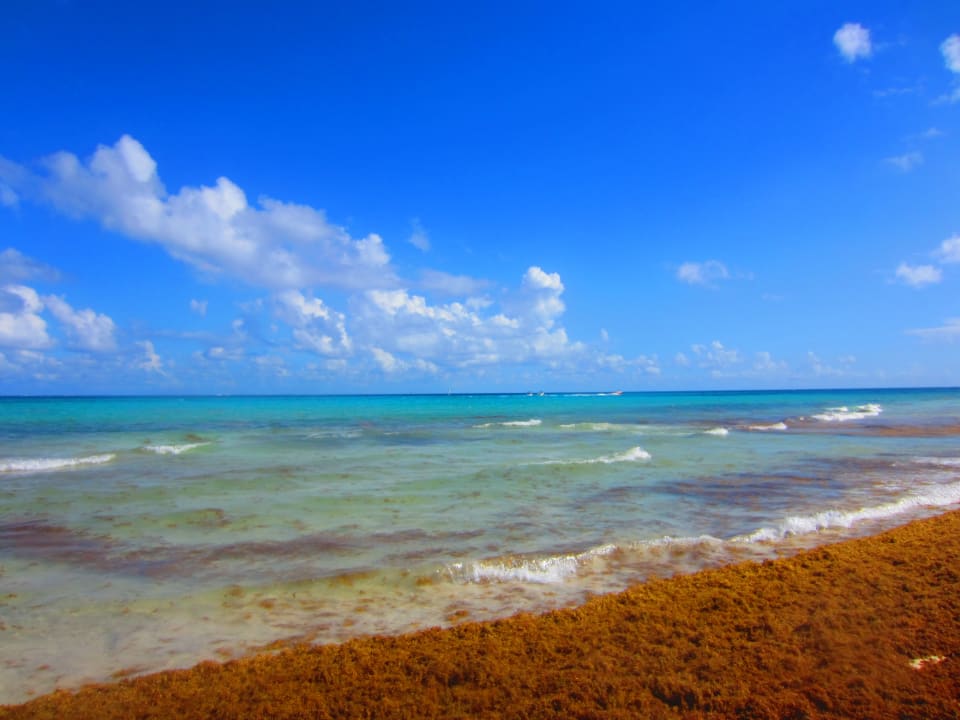 Strand Hotel Riu Palace Riviera Maya