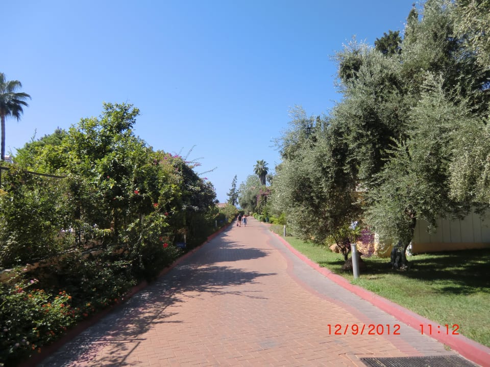 Weg zum Strand Horus Paradise Luxury Resort & Club