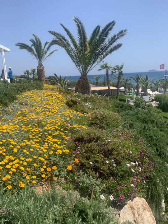 Gartenanlage ROBINSON DAIDALOS