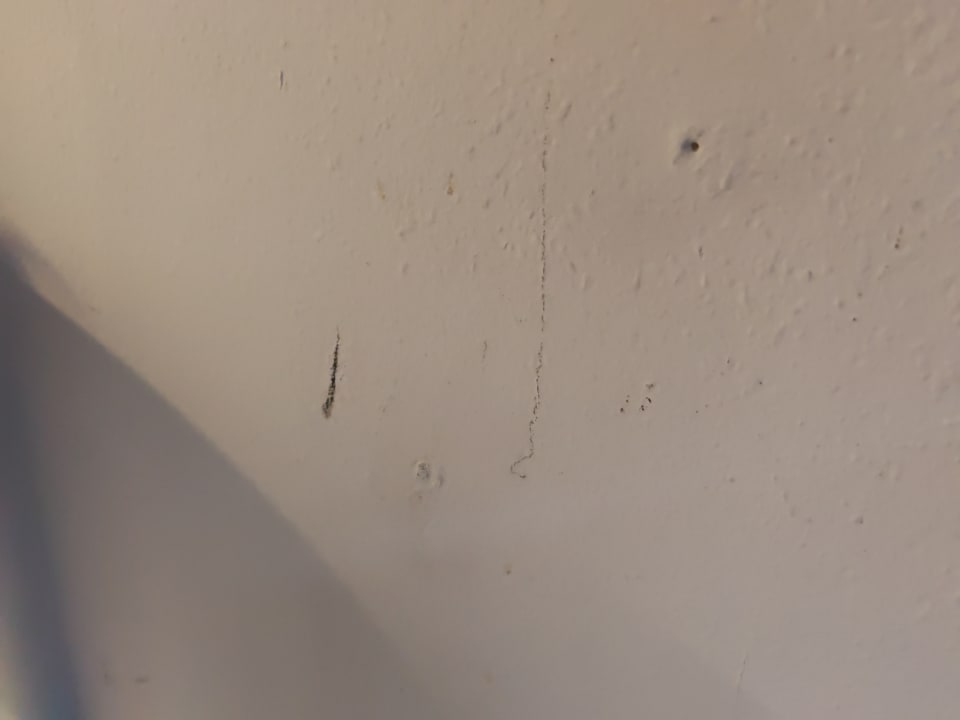 Zimmer Hotel Astoria