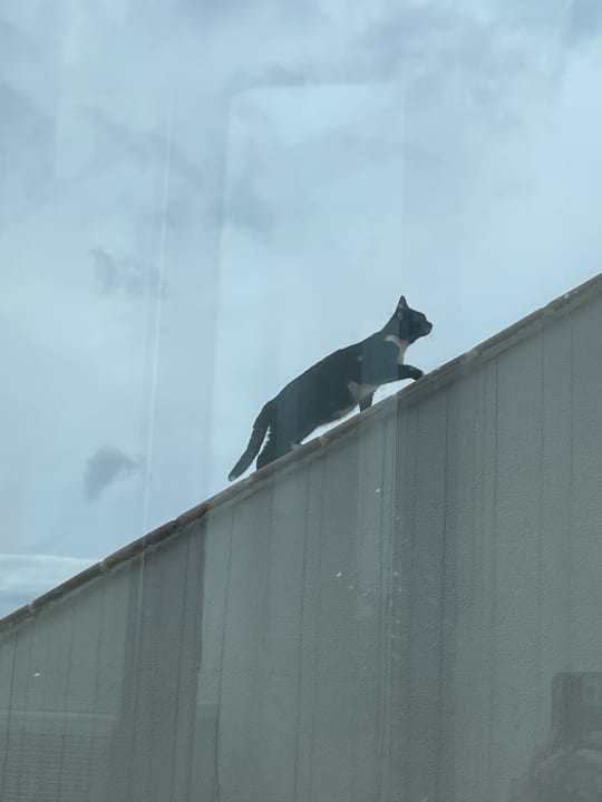 Sonstiges Limak Limra Hotel & Resort