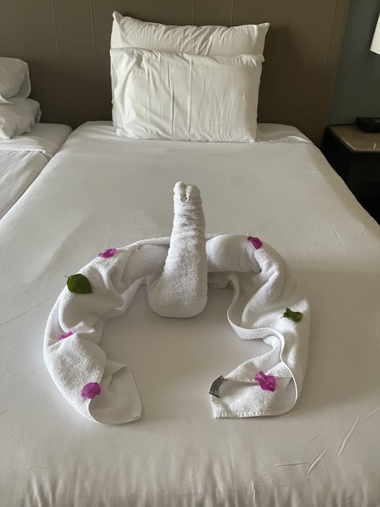 Zimmer JAZ Aquamarine Resort