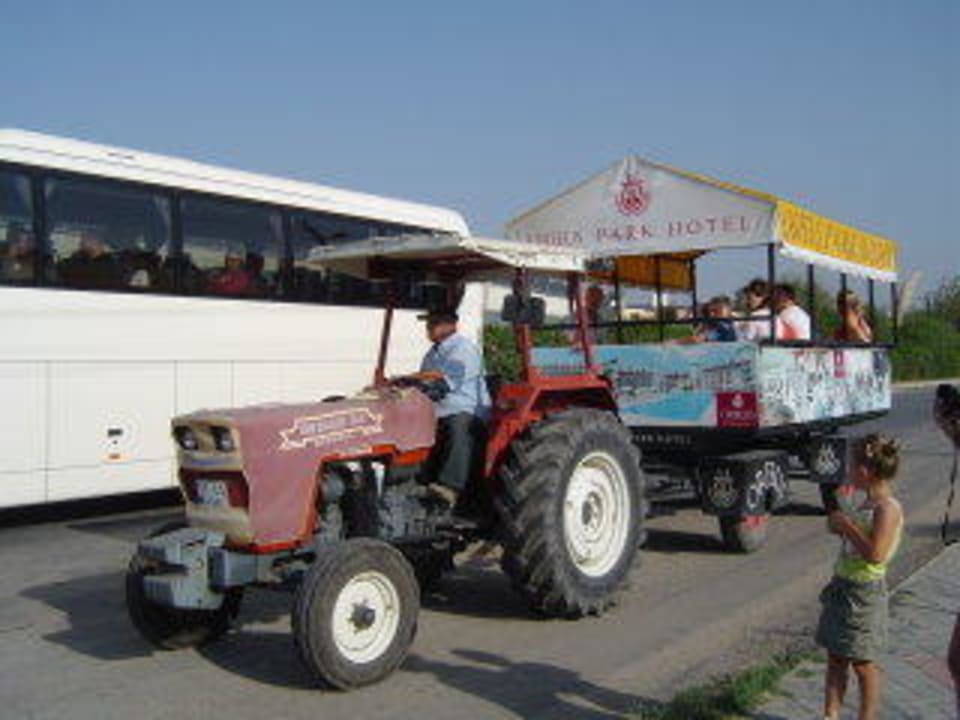 Traktor zum Strand Hotel Orfeus Park