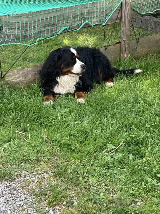 Garten Ferienhof Streidl