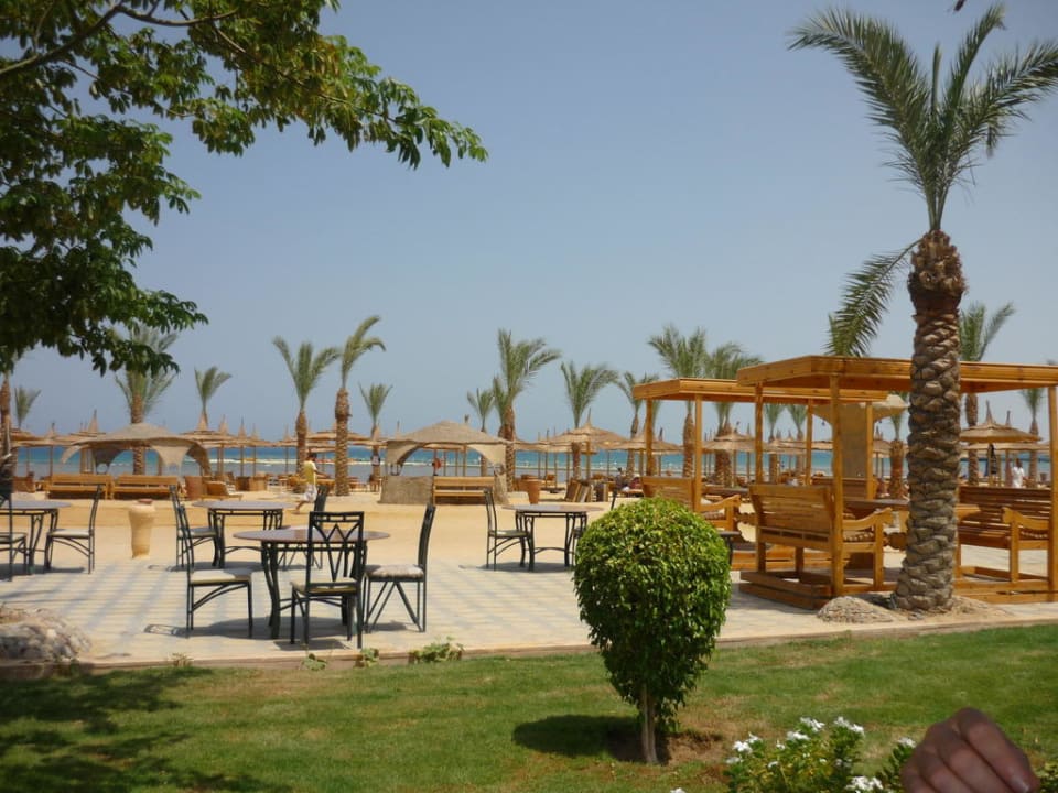 Blick von Beach-Bar Pickalbatros Palace Resort