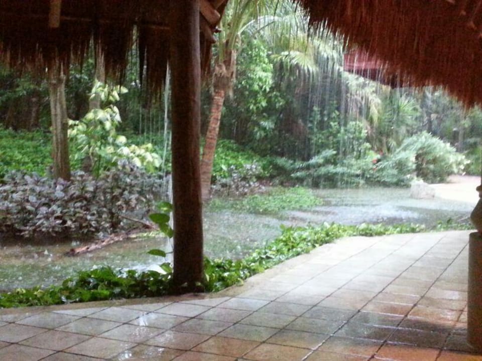 Regenzeit -wörtlich zu nehmen Catalonia Playa Maroma