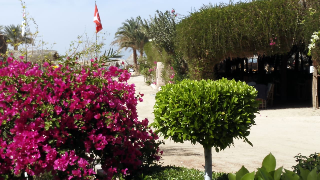 Gartenanlage Utopia Beach Club