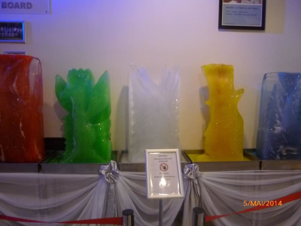 Eiskunst TUI BLUE Palm Garden