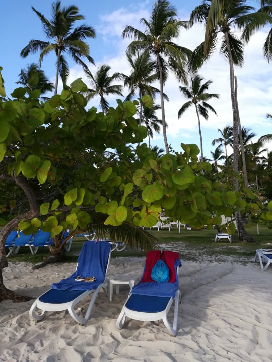 Strand Wyndham Alltra Samana