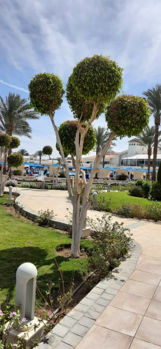 Außenansicht Pickalbatros Dana Beach Resort - Hurghada