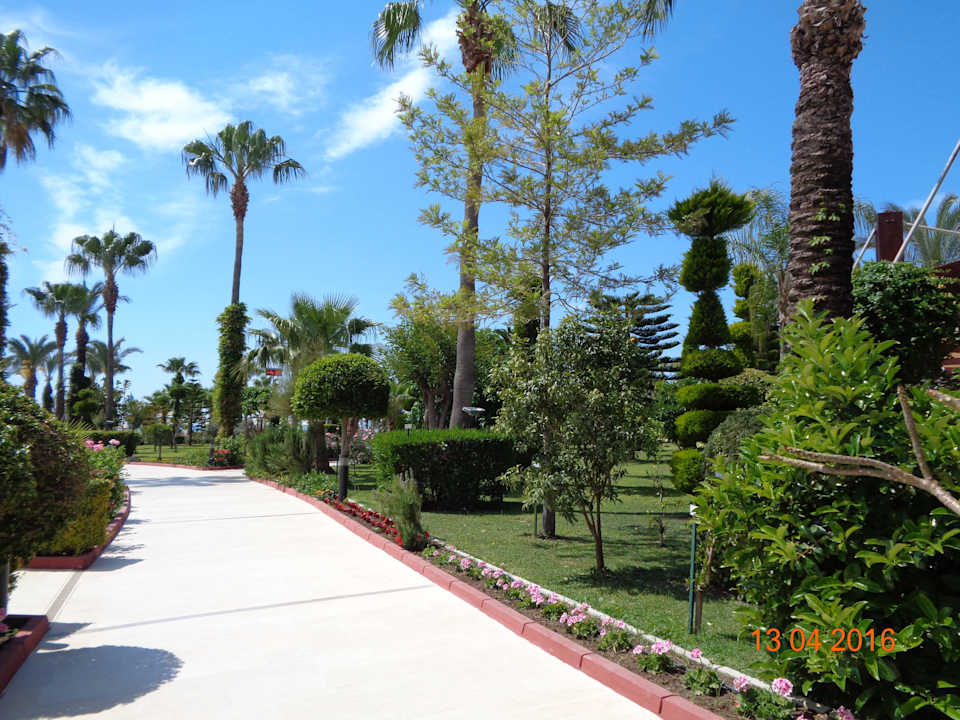 Nur toll Saphir Resort & Spa