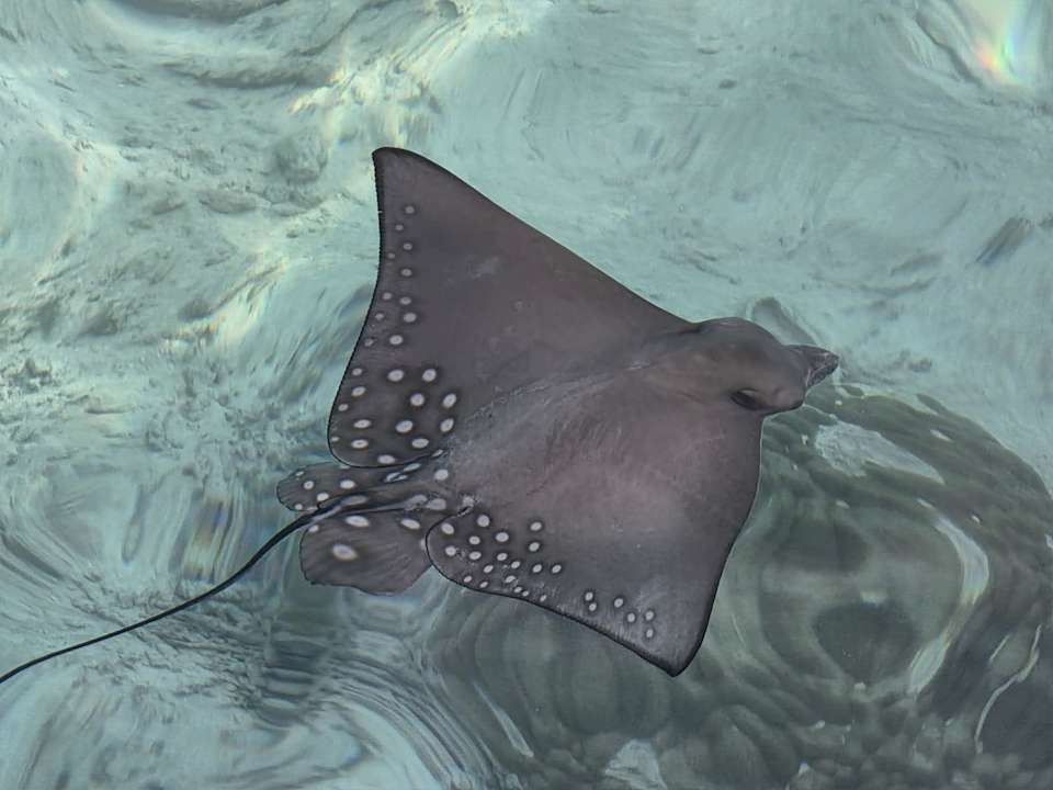 Strand Adaaran Select Meedhupparu Island Resort - Premium All Inclusive