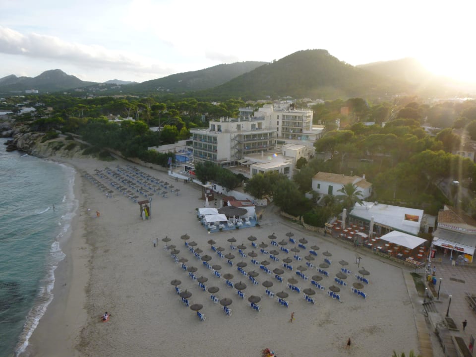 Son Moll Son Moll Sentits Hotel & Spa