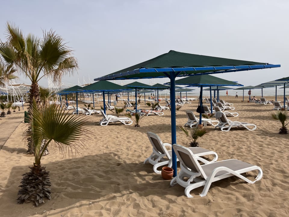 Strand Paloma Oceana
