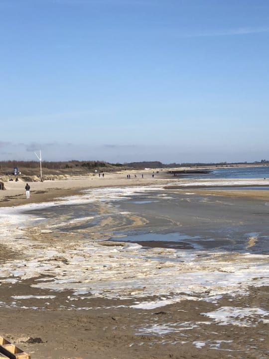 Strand Ferienhauspark Asgard in Damp