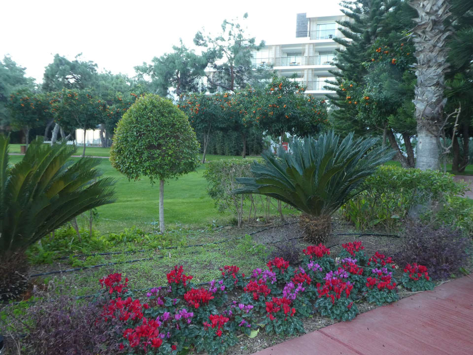 Gartenanlage TUI MAGIC LIFE Beldibi +16