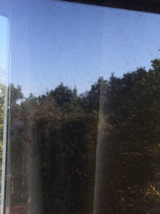 Schmutziges Fenster Entrée Groß Borstel Garni Hotel