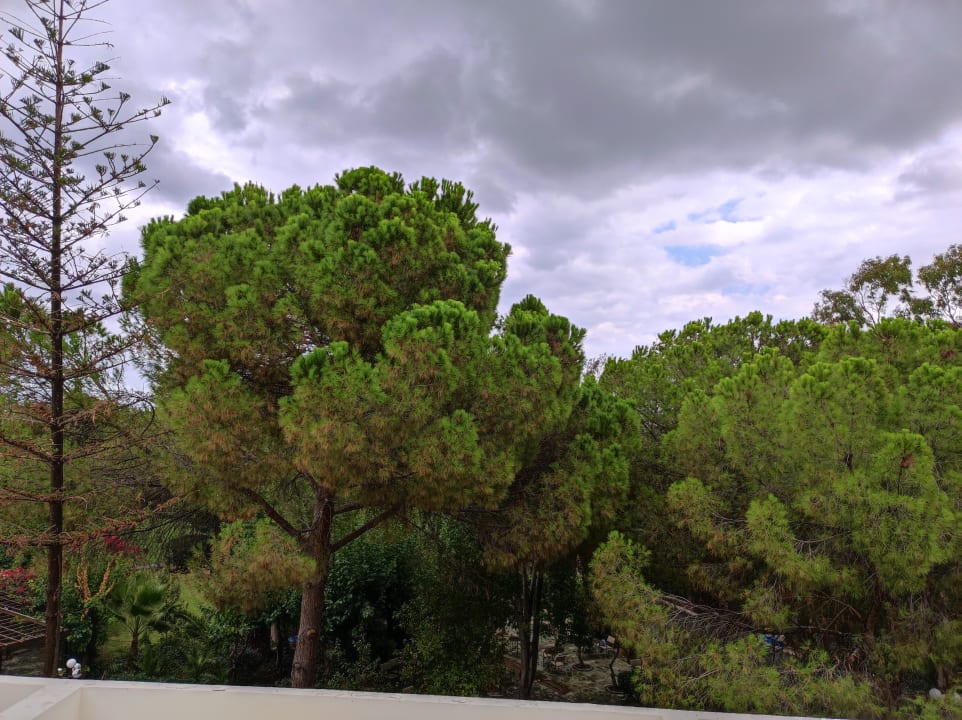 Außenansicht Apollonia Beach Resort & Spa