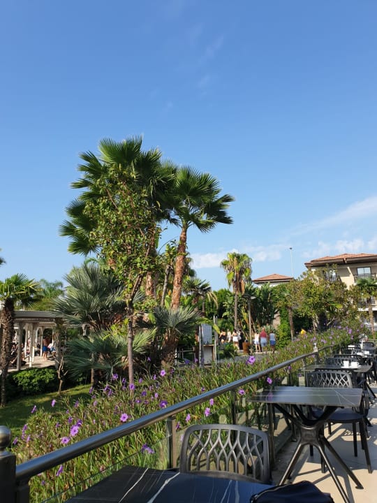 Ausblick Calimera Serra Palace