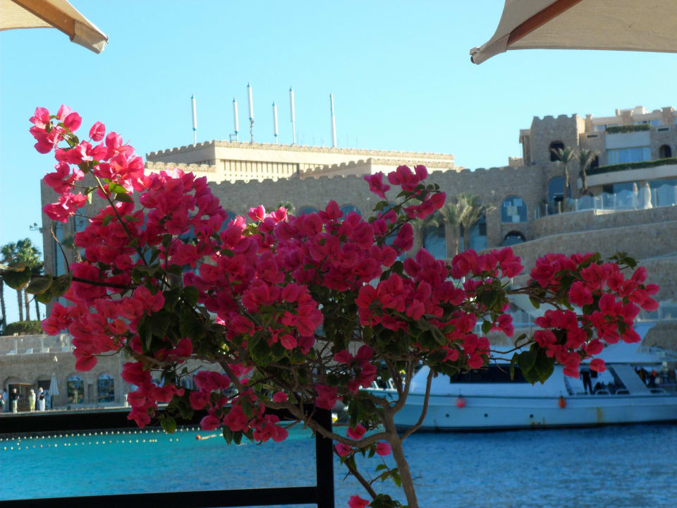 Marina Pickalbatros Citadel Resort