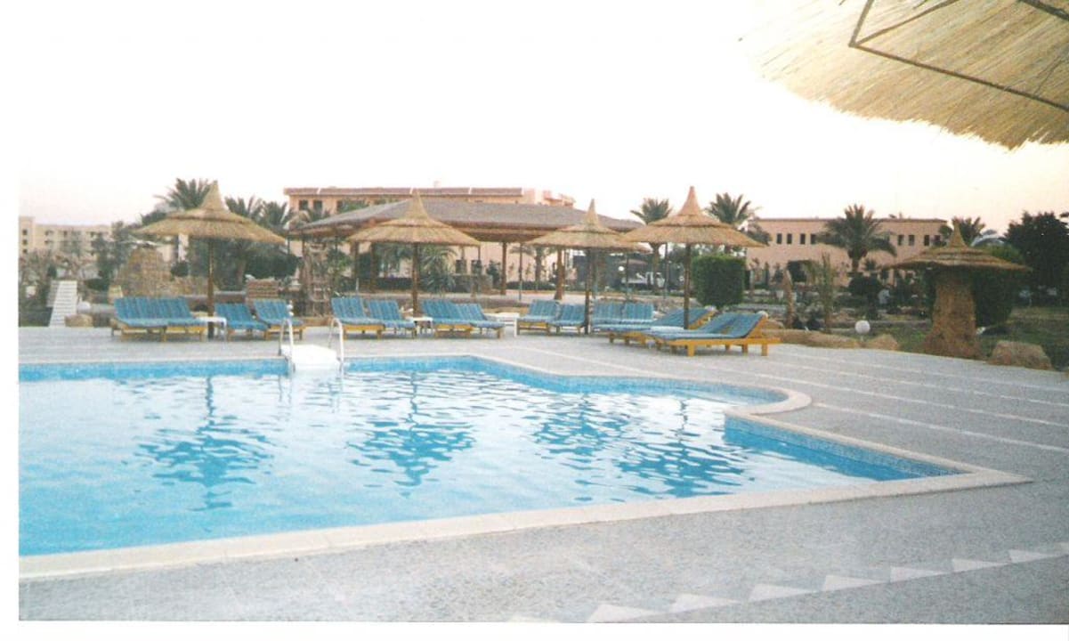 primasol beach albatros Beach Albatros Resort