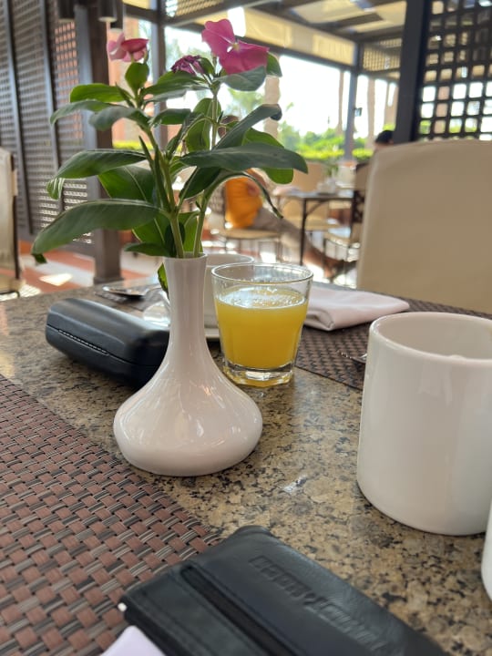 Gastro Jaz Makadi Oasis Resort