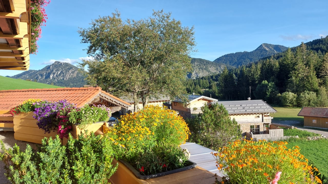 Ausblick Landhaus Wildschütz