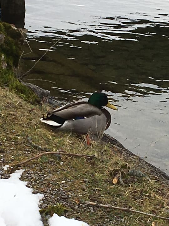 Strand Hotel Fischerstüberl am See