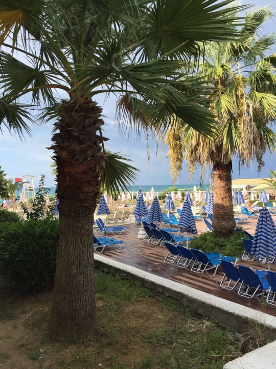  Sehr schöne Gartenanlage  Sandy Beach Resort