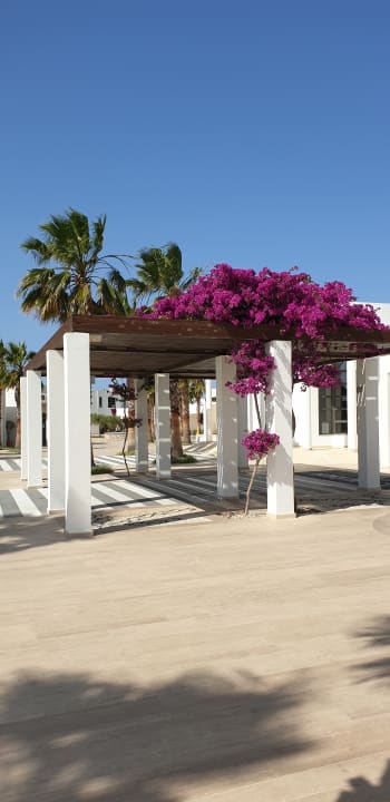 Sonstiges Atlantica Plimmiri