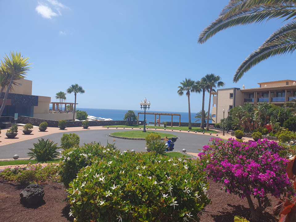 Gartenanlage Iberostar Waves Gaviotas Park