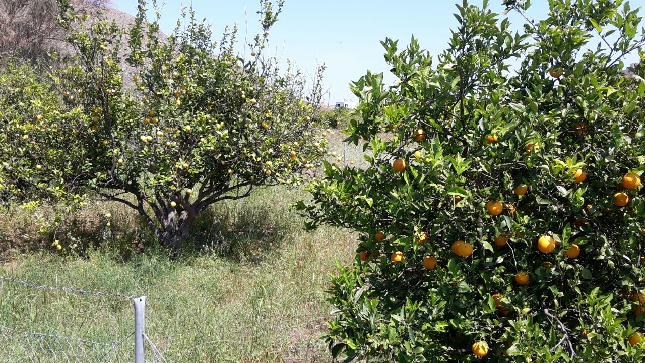 Ausblick Harmony Boutique Resort