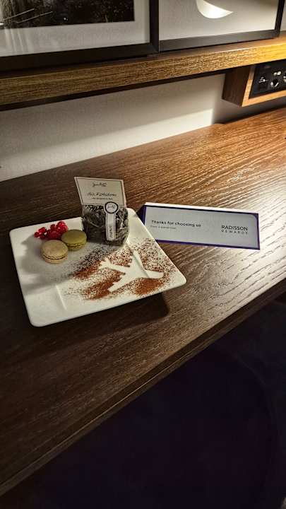 Zimmer Radisson Blu Hotel Zürich Airport