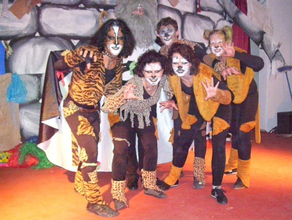 Premiere Cats Moon Dreams Marina Parc