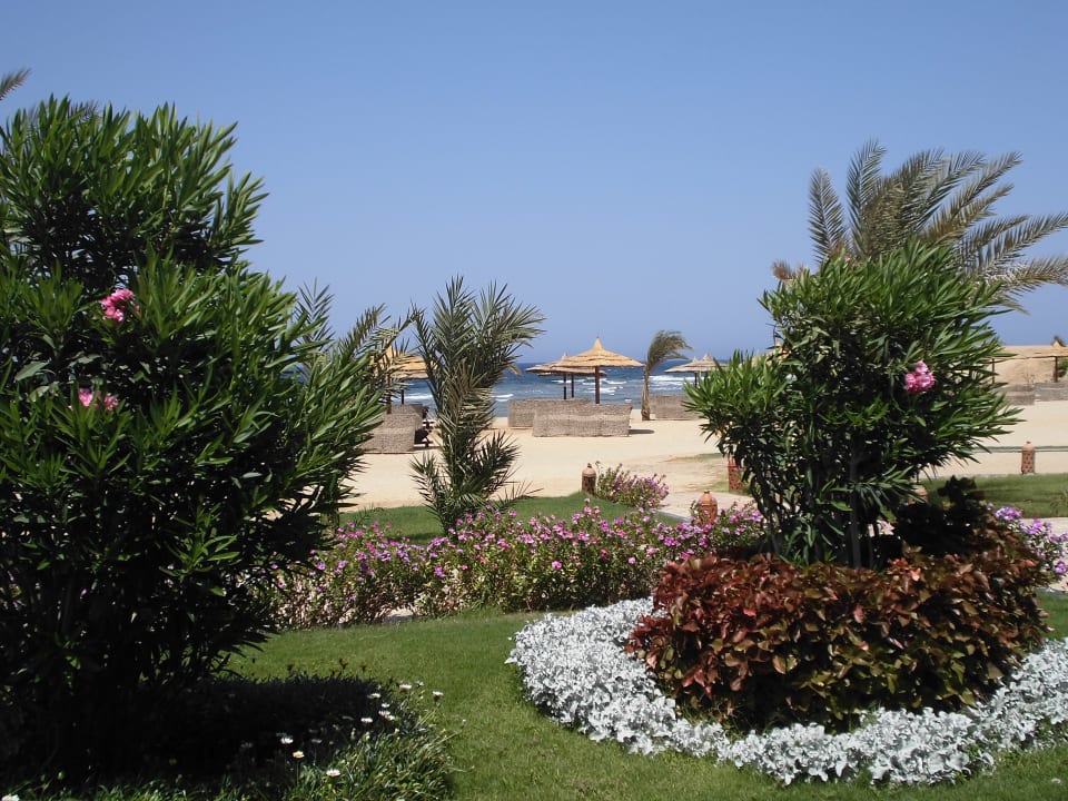 Gartenanlage Coral Sun Beach