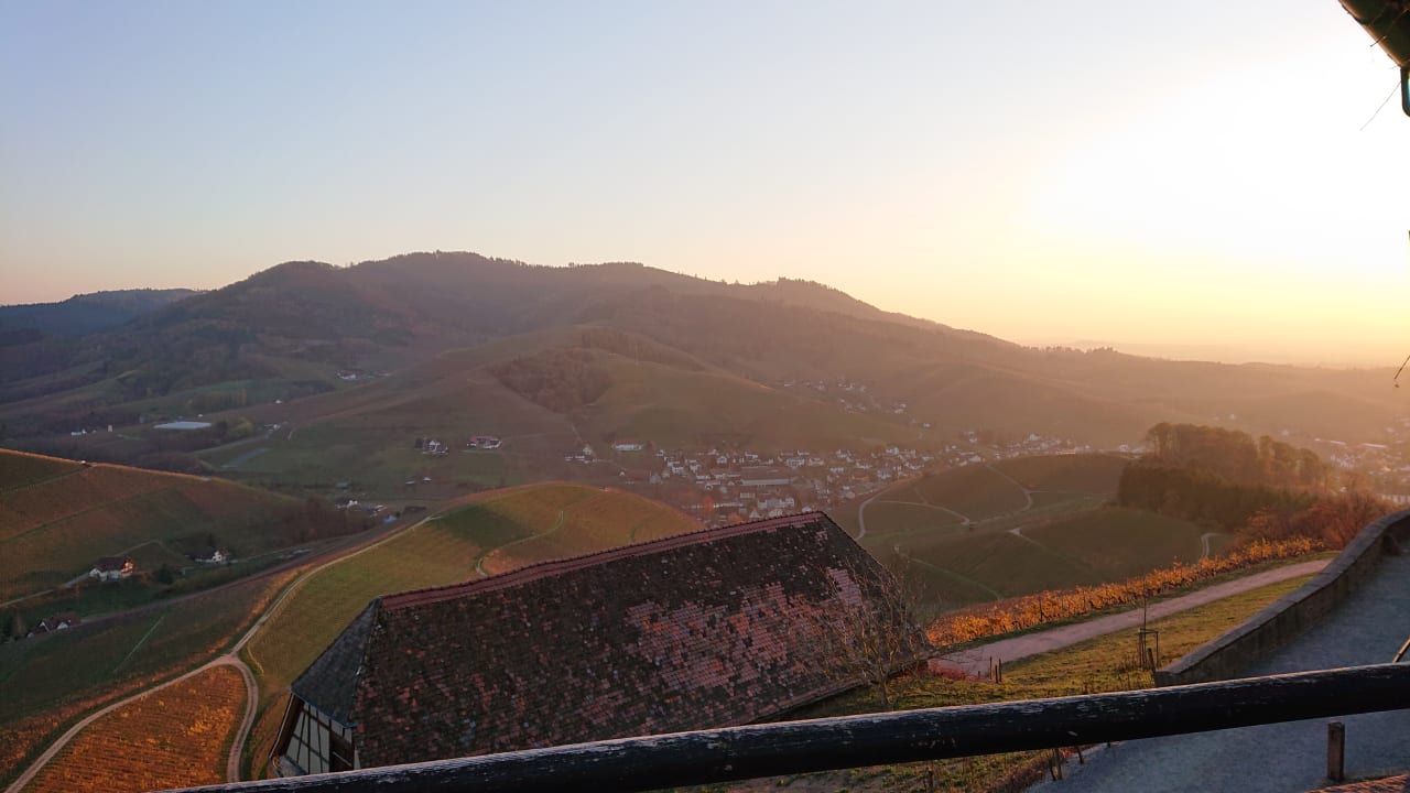 Ausblick Hotel Ritter Durbach