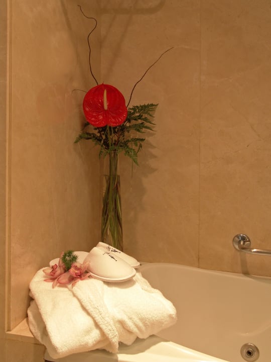 Baño Habitación Classic Ayre Hotel Astoria Palace