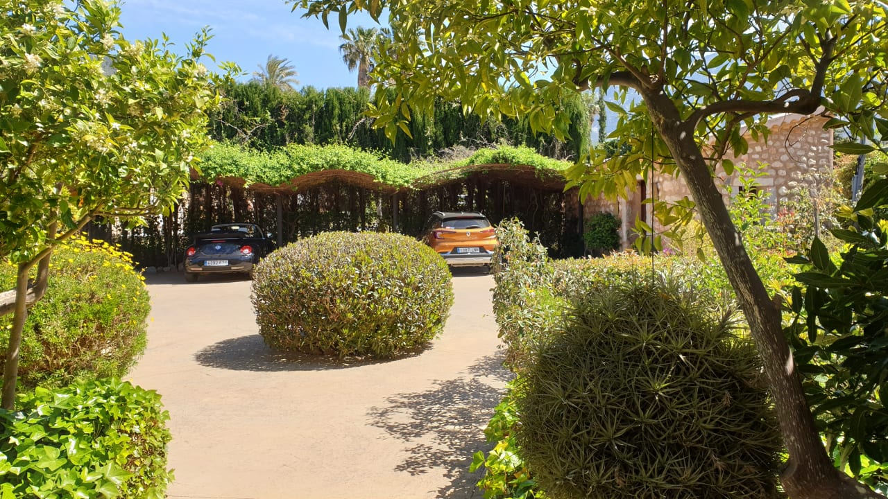 Gartenanlage Finca Can Quatre