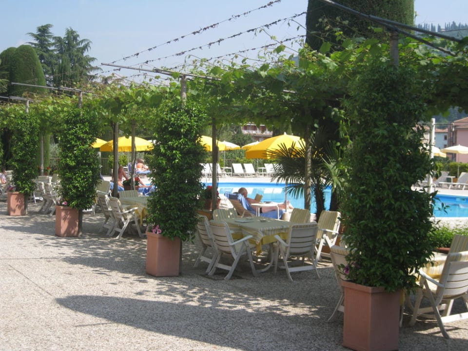 Terrasse und Pool Hotel Garden