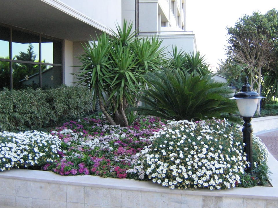 Vor dem Eingang des Hotels Aydinbey Kings Palace & Spa