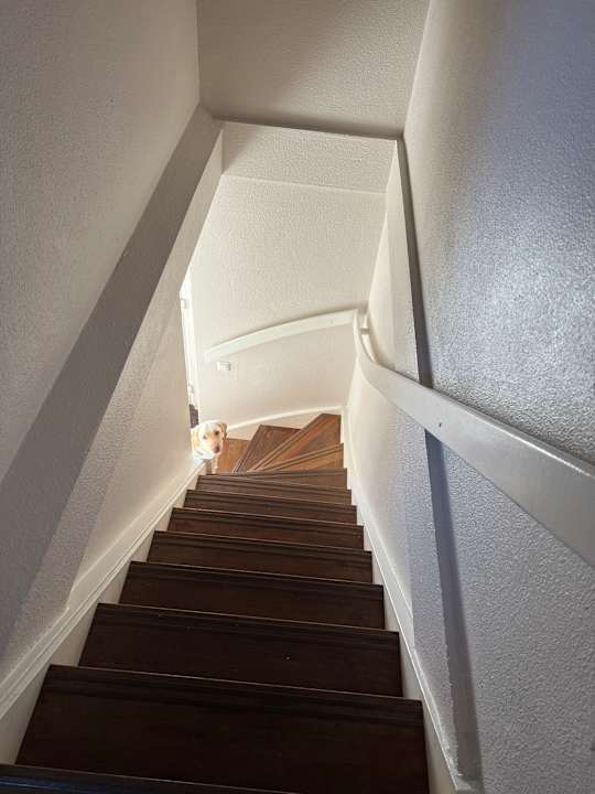 Zimmer Center Parcs Park Hochsauerland