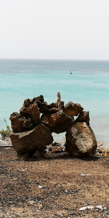 Ausblick SBH Hotel Taro Beach