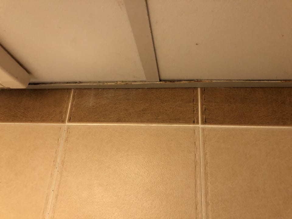 Zimmer Beach Albatros Resort