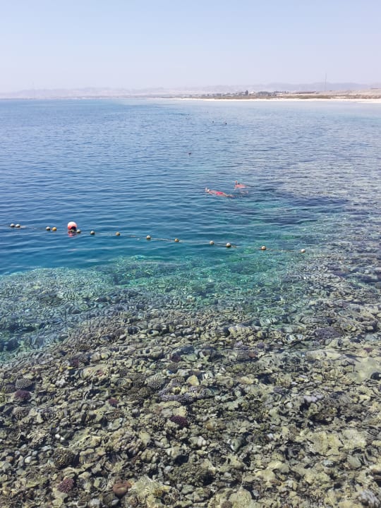 Strand Hotel Gorgonia Beach Resort