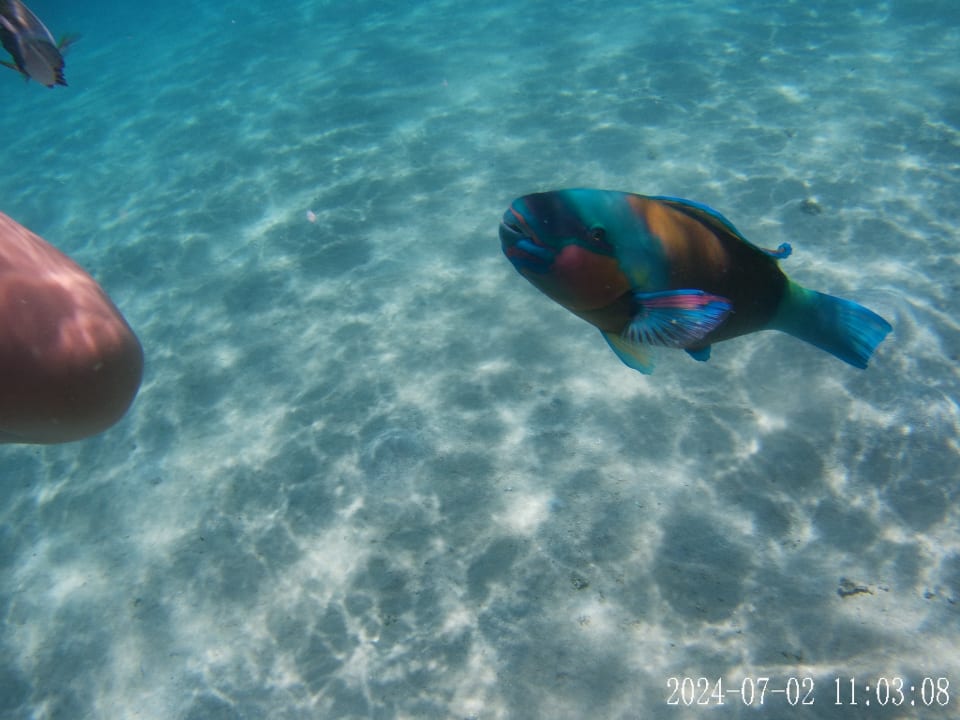 Sport & Freizeit Cleopatra Luxury Resort Makadi Bay