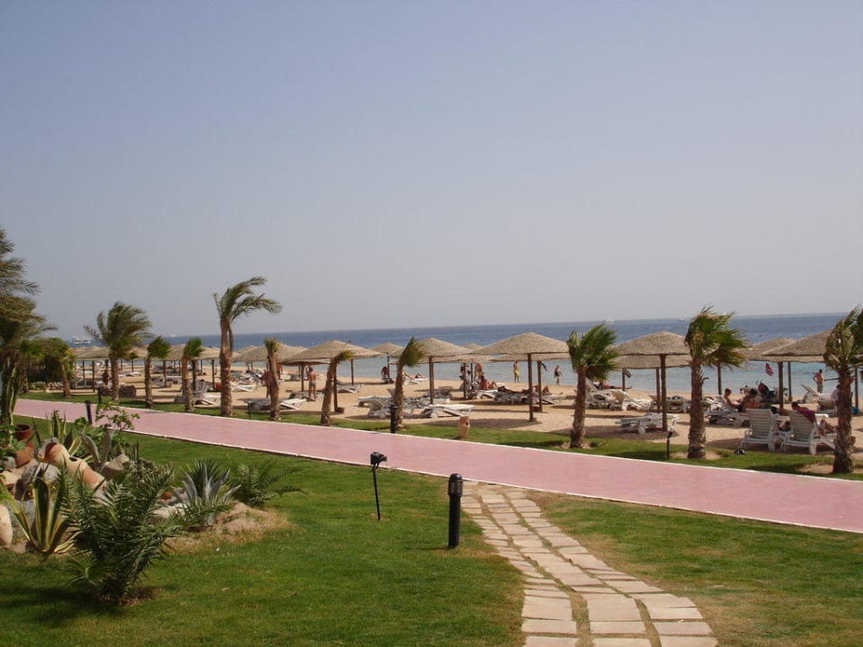 Gartenanlage und Strand Fort Arabesque Resort, Spa & Villas